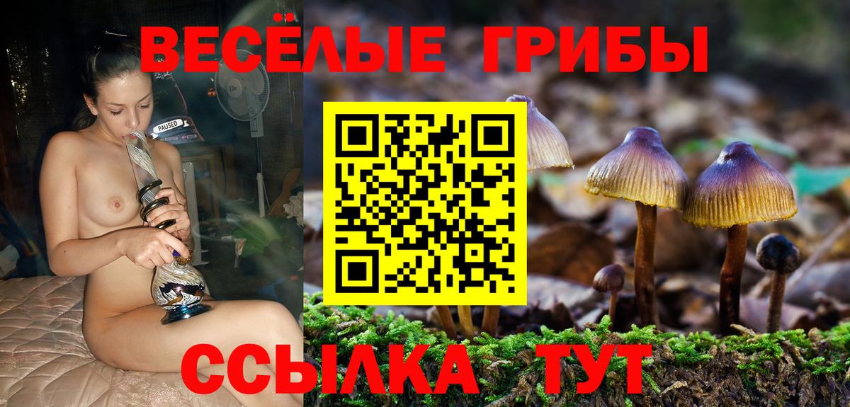 Галлюциногенные грибы ЛСД  Вход с VPN  Грозный 